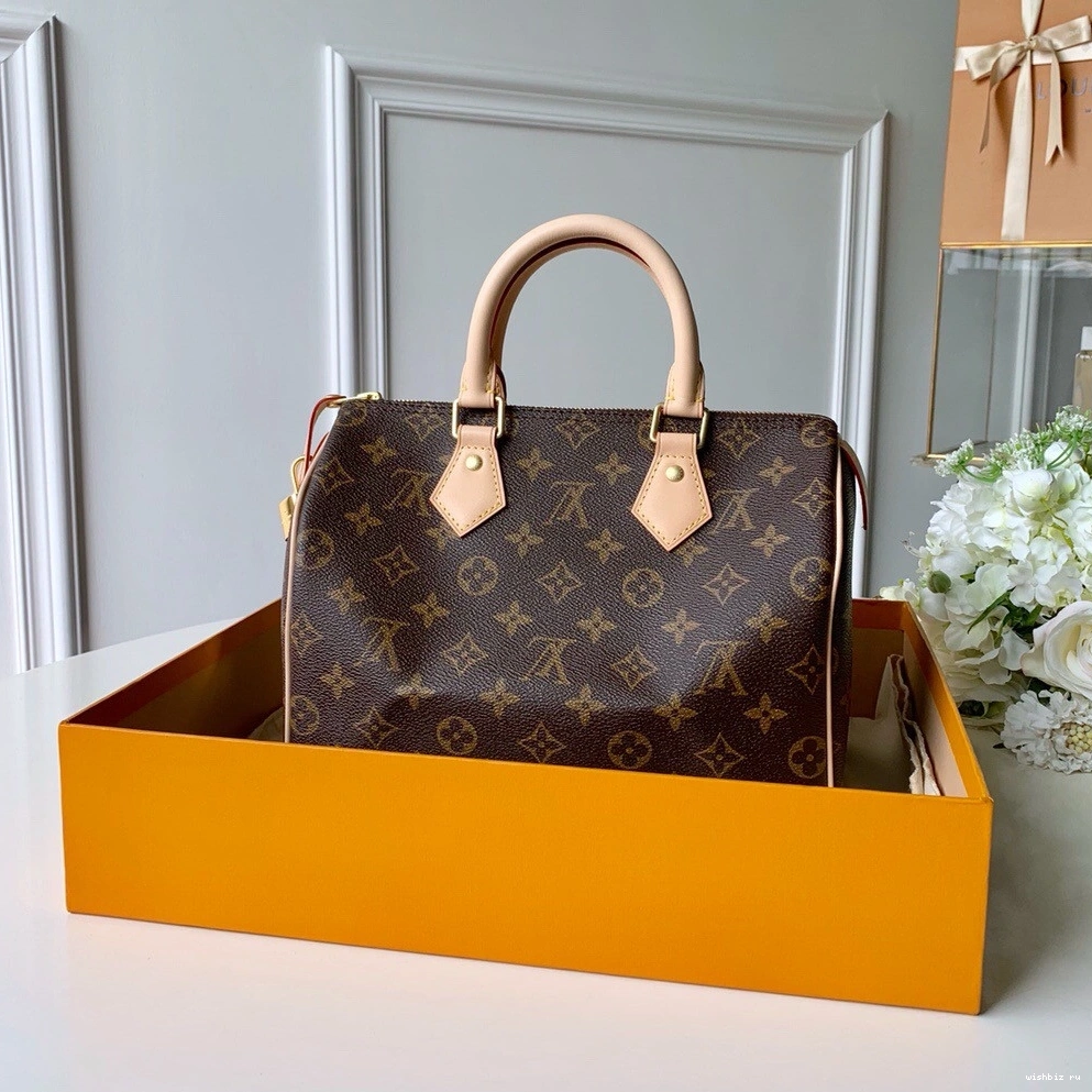 WIS SPEEDY Louis Vuitton 25 0114